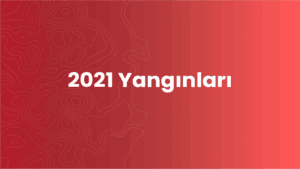 2021 Yangınları