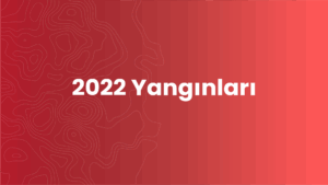 2022 Yangınları